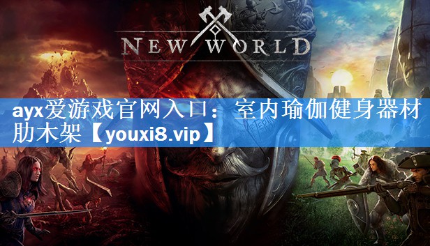 ayx爱游戏官网入口：室内瑜伽健身器材肋木架