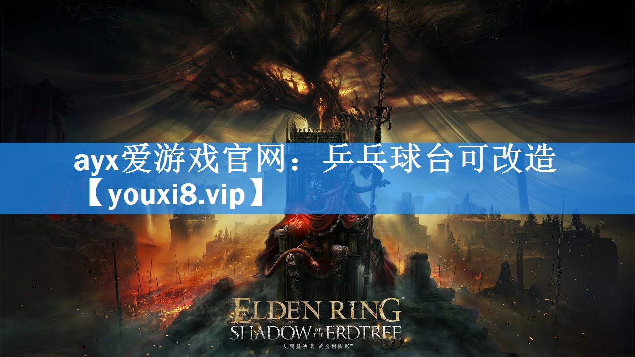 ayx爱游戏官网：乒乓球台可改造