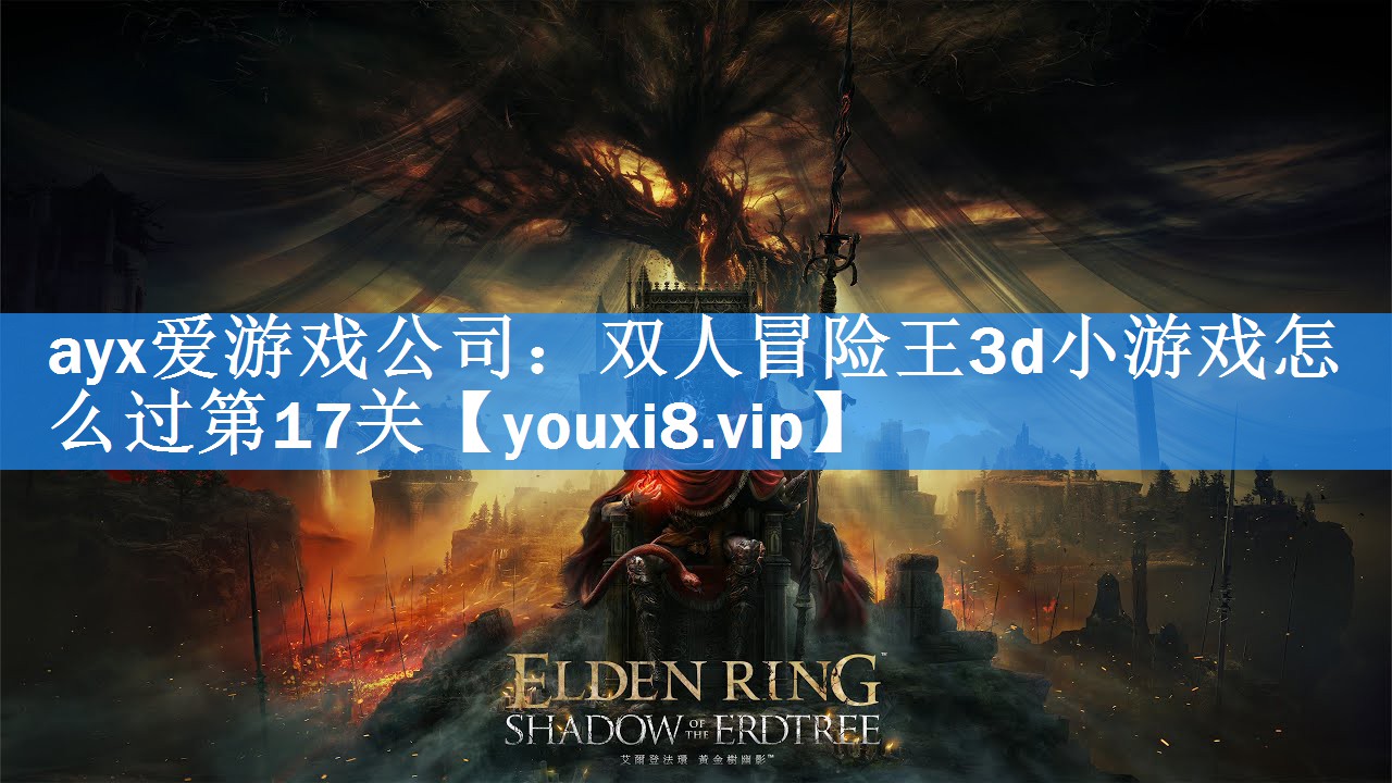ayx爱游戏公司：双人冒险王3d小游戏怎么过第17关