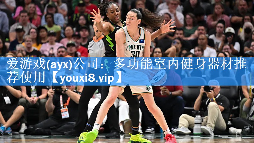 爱游戏(ayx)公司：多功能室内健身器材推荐使用