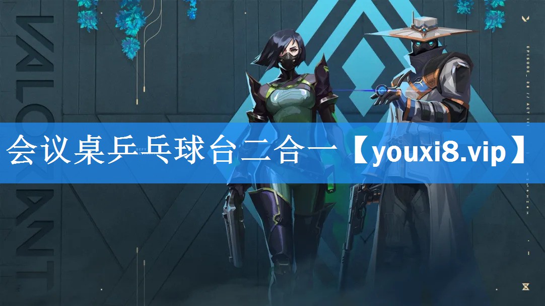 会议桌乒乓球台二合一 会议桌乒乓球台二合一