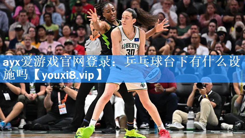 乒乓球台下有什么设施吗 乒乓球台下有什么设施吗