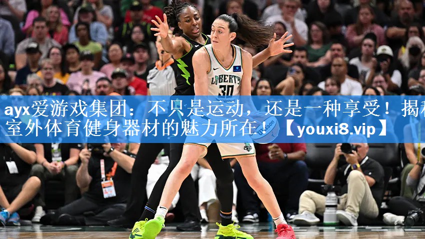 不只是运动,还是一种享受!揭秘室外体育健身器材的魅力所在! 不只是运动,还是一种享受!揭秘室外体育健身器材的魅力所在!