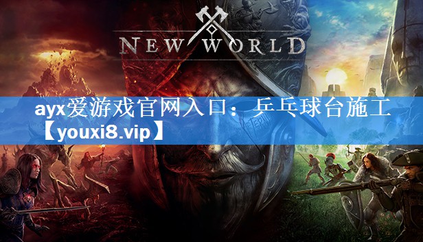 乒乓球台施工 乒乓球台施工