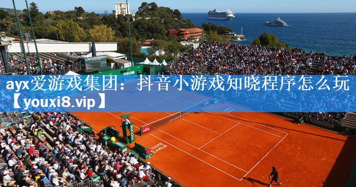抖音小游戏知晓程序怎么玩 抖音小游戏知晓程序怎么玩